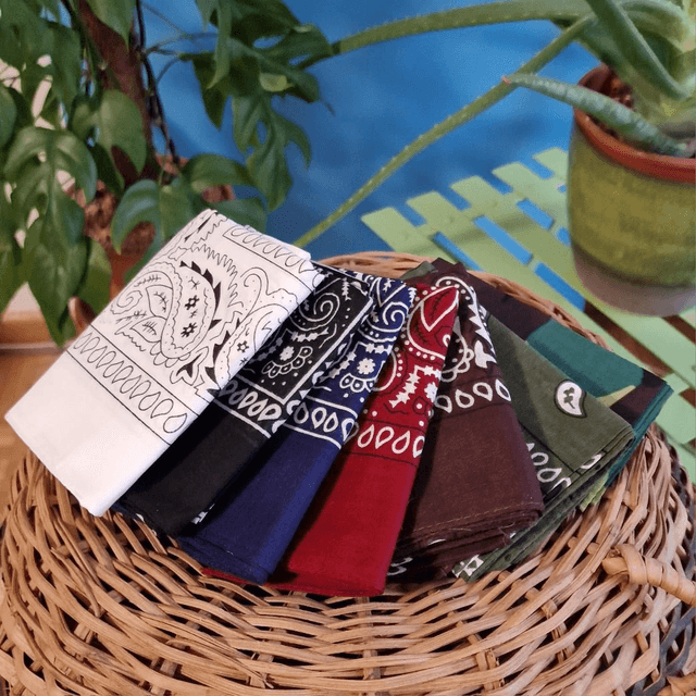 Bandana Paisley